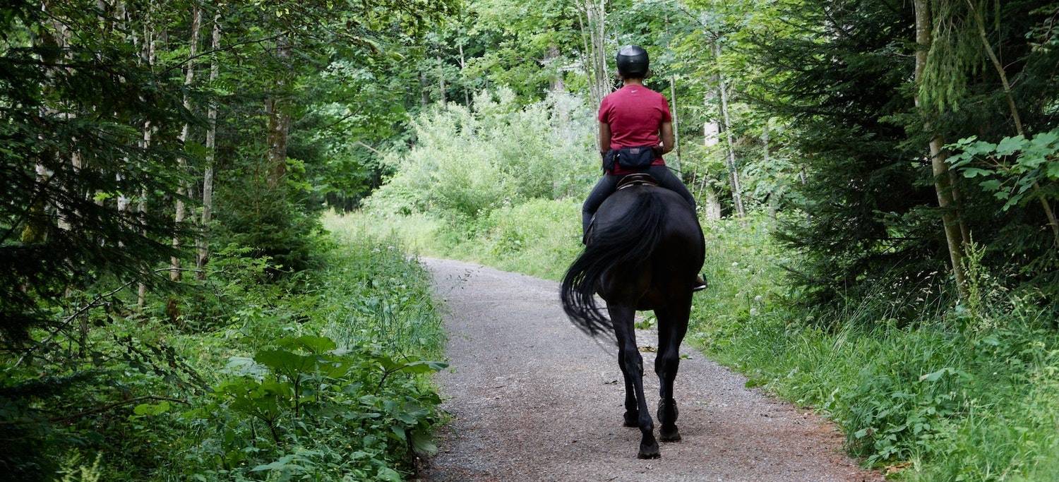 Person riding a horse with helmet on for equine-assisted therapy