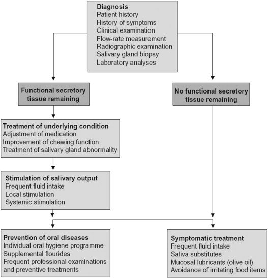 Management of Dry Mouth Diagram by Narhi et al.