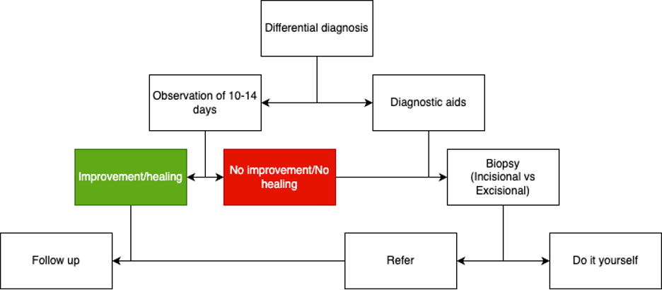 flowchart illustrating the typical decision-making process with suspicious oral lesions.