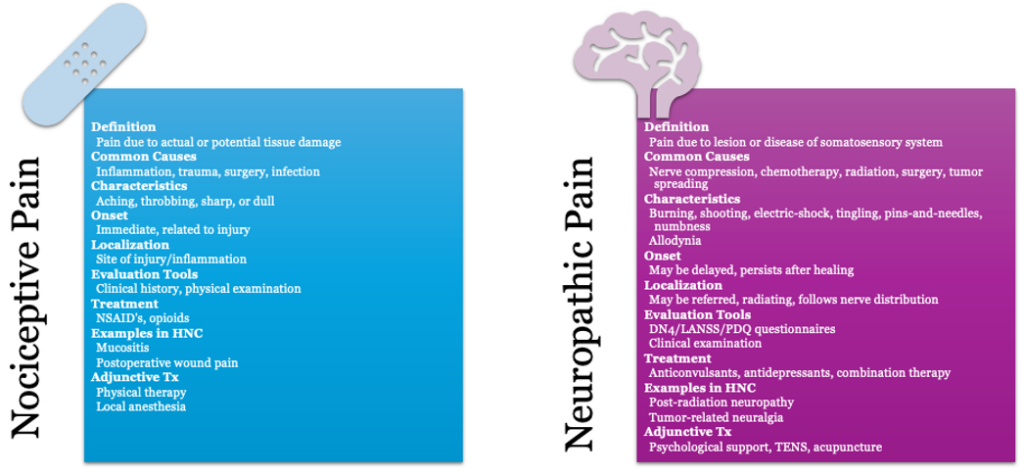 Definition of Nociceptive and Neuropathic Pain
