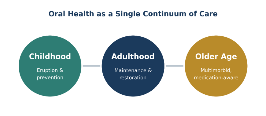 Figure 1. Oral health needs evolve across one continuous life course, not three separate stages.